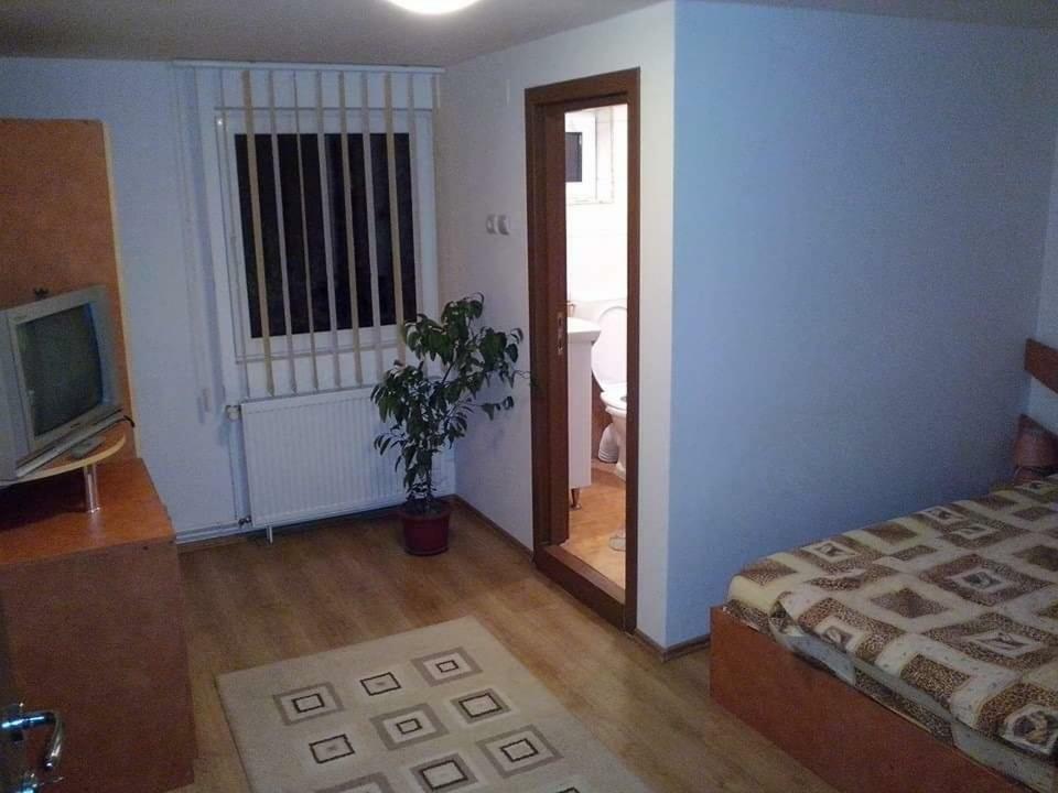 Casa Bradul Verde Bran  Eksteriør billede