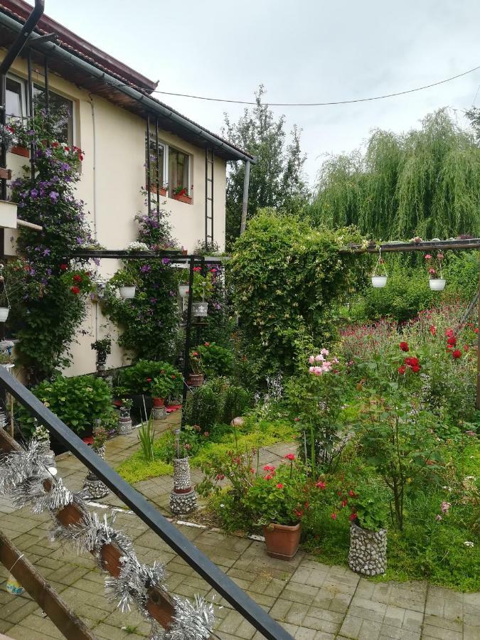 Casa Bradul Verde Bran  Eksteriør billede