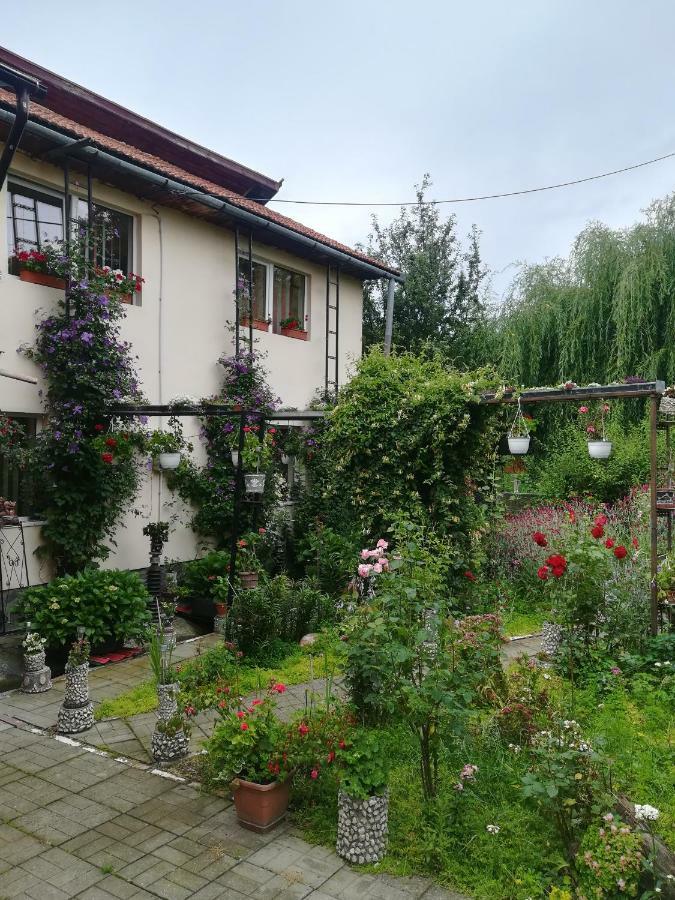 Casa Bradul Verde Bran  Eksteriør billede