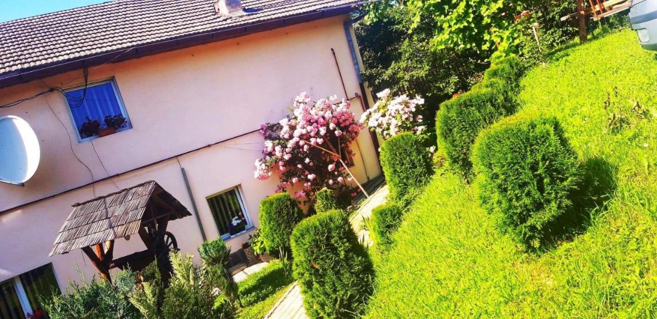Casa Bradul Verde Bran  Eksteriør billede